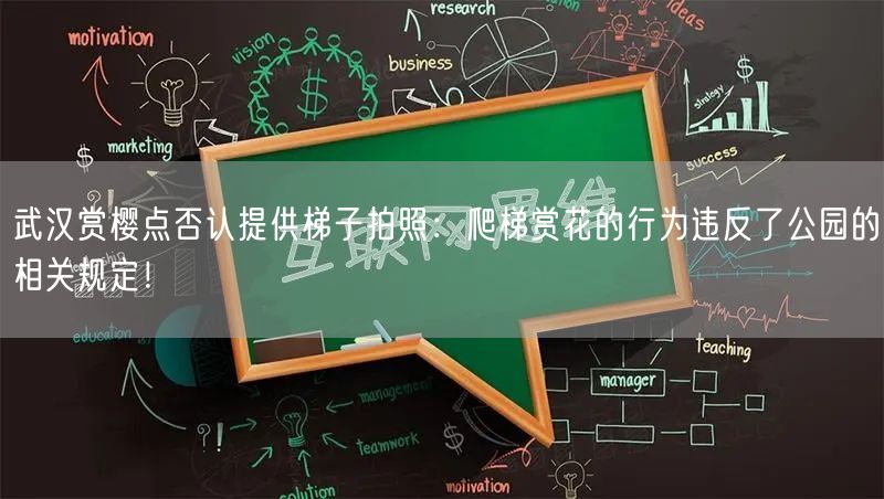 武汉赏樱点否认提供梯子拍照：爬梯赏花的行为违反了公园的相关规定！