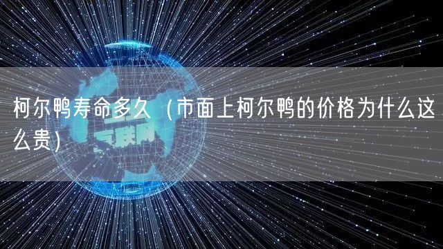 柯尔鸭寿命多久（市面上柯尔鸭的价格为什么这么贵）