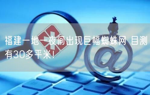 福建一地一夜间出现巨幅蜘蛛网 目测有30多平米！