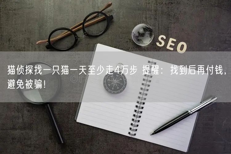 猫侦探找一只猫一天至少走4万步 提醒：找到后再付钱，避免被骗！