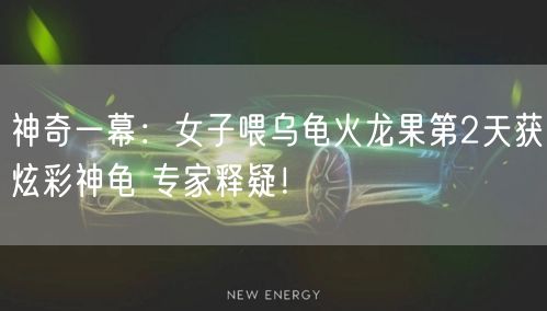 神奇一幕：女子喂乌龟火龙果第2天获炫彩神龟 专家释疑！