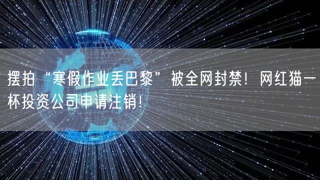 摆拍“寒假作业丢巴黎”被全网封禁！网红猫一杯投资公司申请注销！