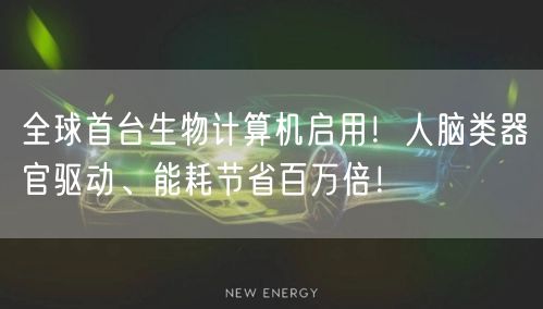 全球首台生物计算机启用！人脑类器官驱动、能耗节省百万倍！