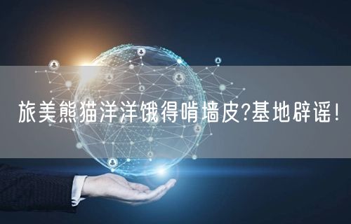 旅美熊猫洋洋饿得啃墙皮?基地辟谣！