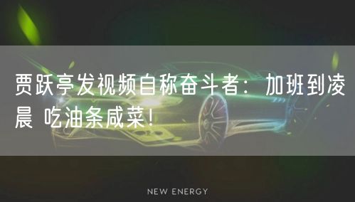 贾跃亭发视频自称奋斗者：加班到凌晨 吃油条咸菜！