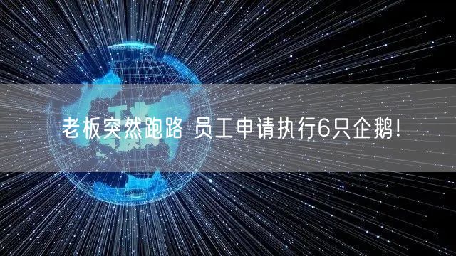 老板突然跑路 员工申请执行6只企鹅！