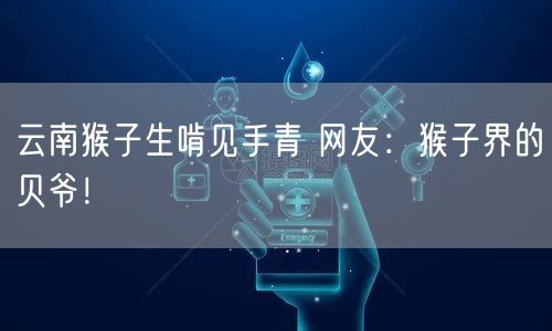 云南猴子生啃见手青 网友：猴子界的贝爷！