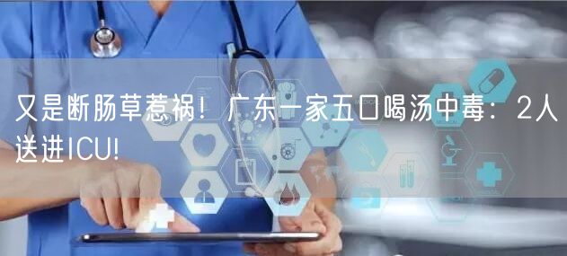 又是断肠草惹祸！广东一家五口喝汤中毒：2人送进ICU!