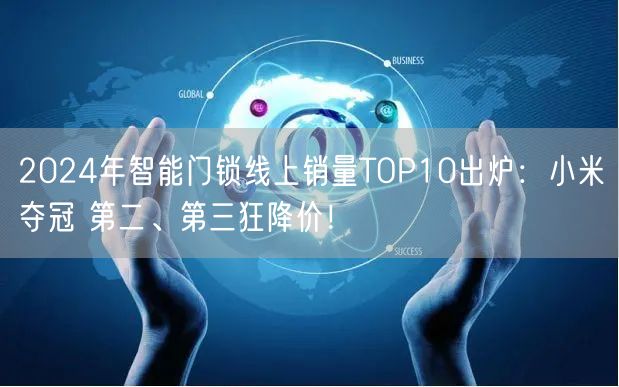 2024年智能门锁线上销量TOP10出炉：小米夺冠 第二、第三狂降价！