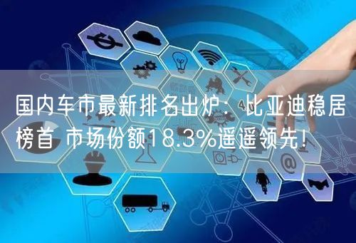 国内车市最新排名出炉：比亚迪稳居榜首 市场份额18.3%遥遥领先！