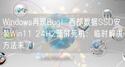 Windows再现Bug！西部数据SSD安装Win11 24H2蓝屏死机：临时解决方法来了！