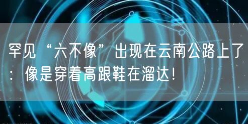 罕见“六不像”出现在云南公路上了：像是穿着高跟鞋在溜达！