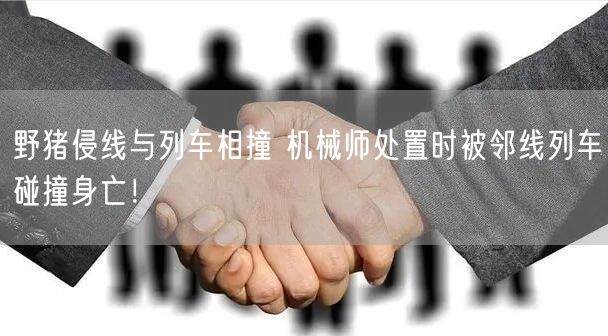 野猪侵线与列车相撞 机械师处置时被邻线列车碰撞身亡！