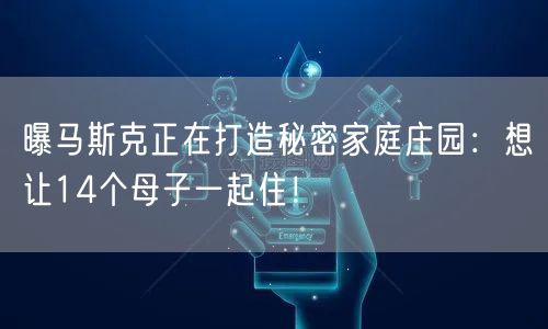 曝马斯克正在打造秘密家庭庄园：想让14个母子一起住！