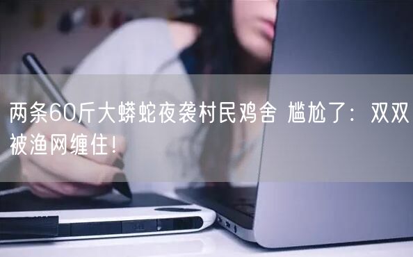 两条60斤大蟒蛇夜袭村民鸡舍 尴尬了：双双被渔网缠住！
