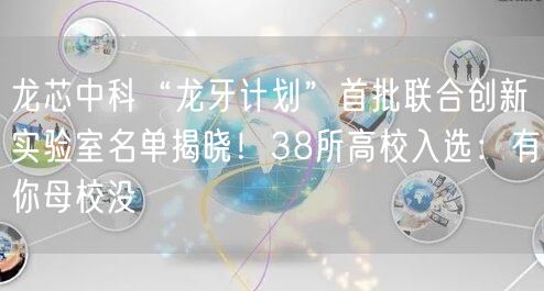龙芯中科“龙牙计划”首批联合创新实验室名单揭晓！38所高校入选：有你母校没