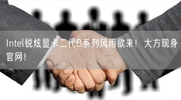Intel锐炫显卡二代B系列风雨欲来！大方现身官网！