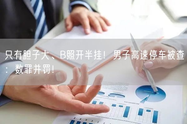 只有胆子大、B照开半挂！男子高速停车被查：数罪并罚！