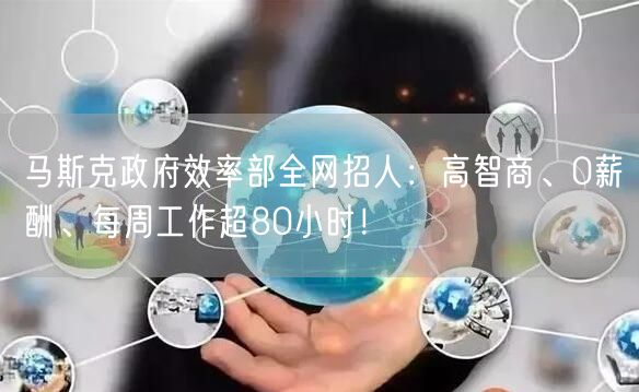 马斯克政府效率部全网招人：高智商、0薪酬、每周工作超80小时！
