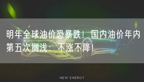明年全球油价恐暴跌！国内油价年内第五次搁浅：不涨不降！