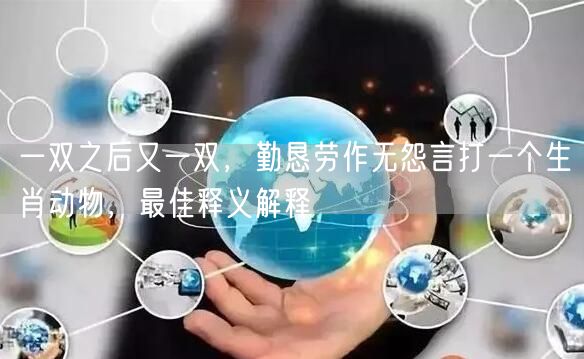 一双之后又一双，勤恳劳作无怨言打一个生肖动物，最佳释义解释
