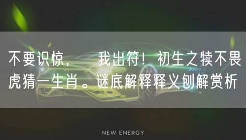 不要识惊，冇我出符！初生之犊不畏虎猜一生肖。谜底解释释义刨解赏析