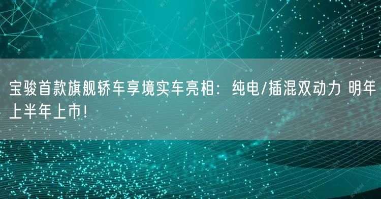 宝骏首款旗舰轿车享境实车亮相：纯电/插混双动力 明年上半年上市！