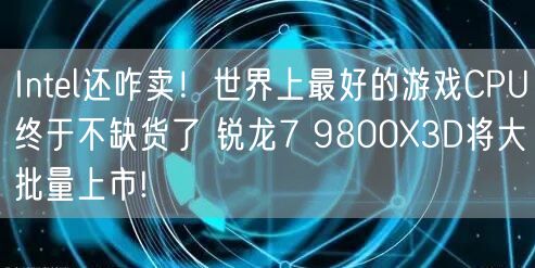 Intel还咋卖！世界上最好的游戏CPU终于不缺货了 锐龙7 9800X3D将大批量上市!