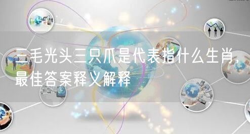 三毛光头三只爪是代表指什么生肖，最佳答案释义解释