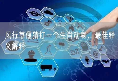风行草偃猜打一个生肖动物，最佳释义解释