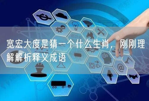 宽宏大度是猜一个什么生肖，刚刚理解解析释义成语