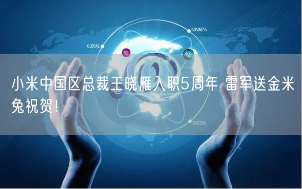 小米中国区总裁王晓雁入职5周年 雷军送金米兔祝贺！