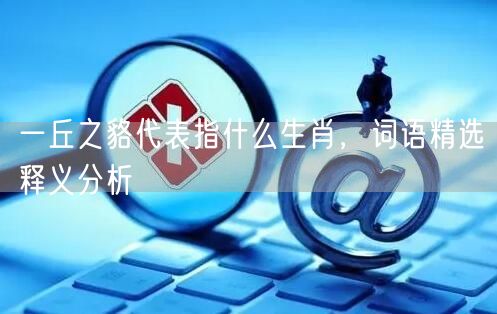 一丘之貉代表指什么生肖，词语精选释义分析