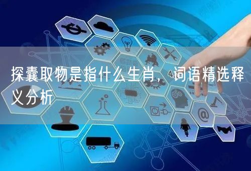 探囊取物是指什么生肖，词语精选释义分析