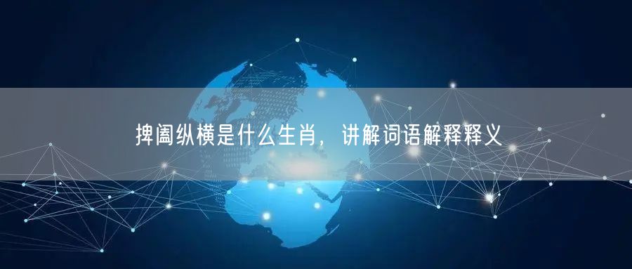 捭阖纵横是什么生肖，讲解词语解释释义