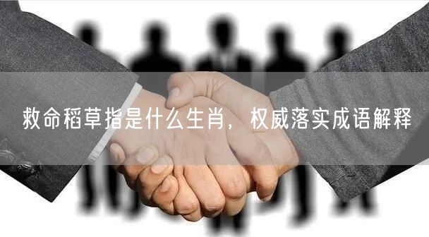救命稻草指是什么生肖，权威落实成语解释