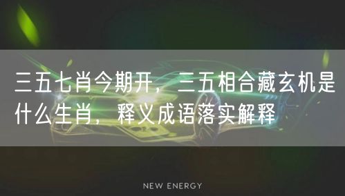 三五七肖今期开，三五相合藏玄机是什么生肖，释义成语落实解释