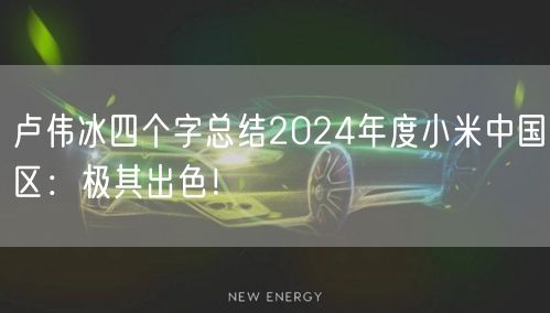 卢伟冰四个字总结2024年度小米中国区：极其出色！