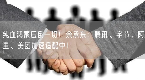 纯血鸿蒙压倒一切！余承东：腾讯、字节、阿里、美团加速适配中！