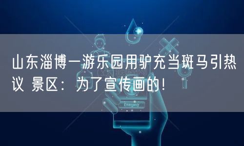 山东淄博一游乐园用驴充当斑马引热议 景区：为了宣传画的！