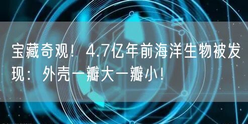 宝藏奇观！4.7亿年前海洋生物被发现：外壳一瓣大一瓣小！