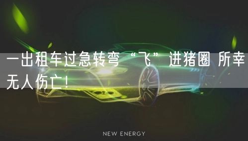 一出租车过急转弯“飞”进猪圈 所幸无人伤亡！