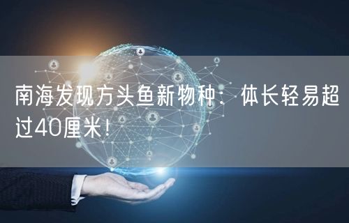 南海发现方头鱼新物种：体长轻易超过40厘米！