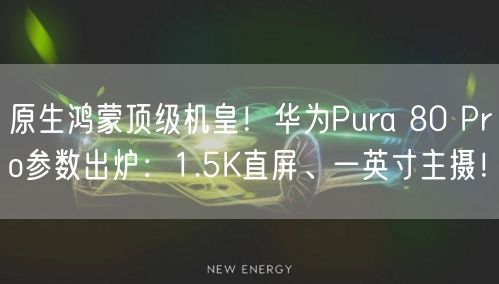 原生鸿蒙顶级机皇！华为Pura 80 Pro参数出炉：1.5K直屏、一英寸主摄！