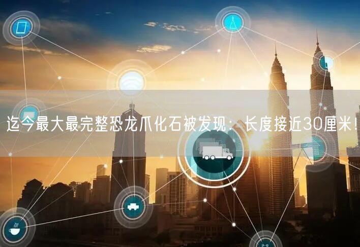 迄今最大最完整恐龙爪化石被发现：长度接近30厘米！