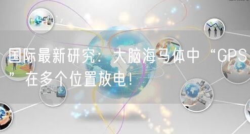 国际最新研究：大脑海马体中“GPS”在多个位置放电！