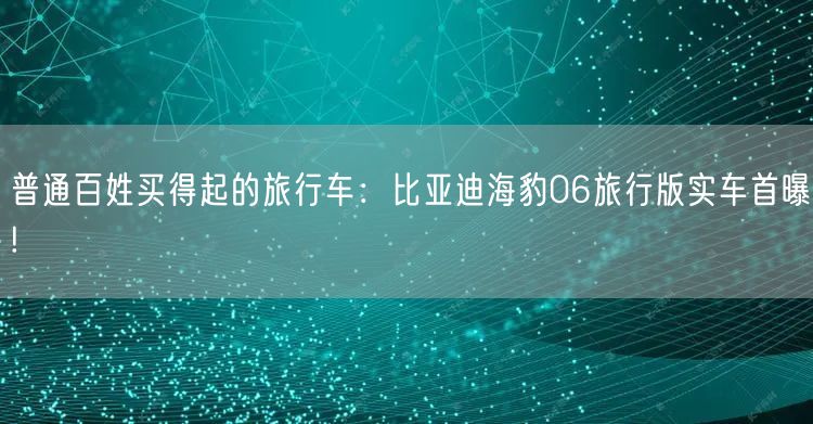 普通百姓买得起的旅行车：比亚迪海豹06旅行版实车首曝!