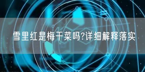 雪里红是梅干菜吗?详细解释落实