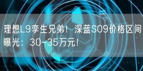 理想L9孪生兄弟！深蓝S09价格区间曝光：30-35万元！