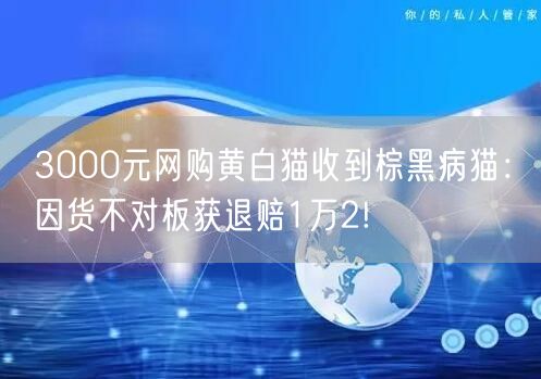 3000元网购黄白猫收到棕黑病猫：因货不对板获退赔1万2!